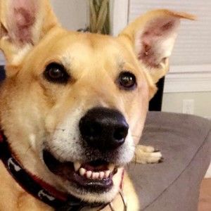 Meet your Posher, Charlie